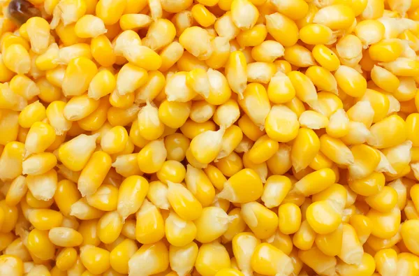 煮的玉米背景 — 图库照片