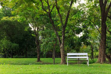 Beyaz Bank yaz yeşil park