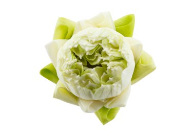 beyaz zemin üzerine yeşil lotus çiçeği