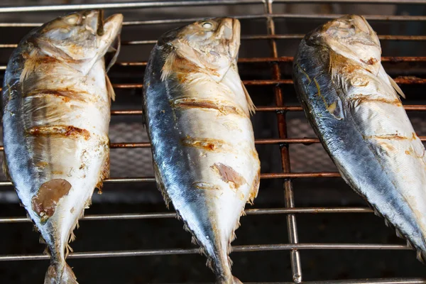 Grilled mackerels — Stock Photo, Image