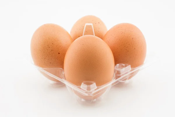 Four eggs in plastic tray isolated on white background — Stock Photo, Image