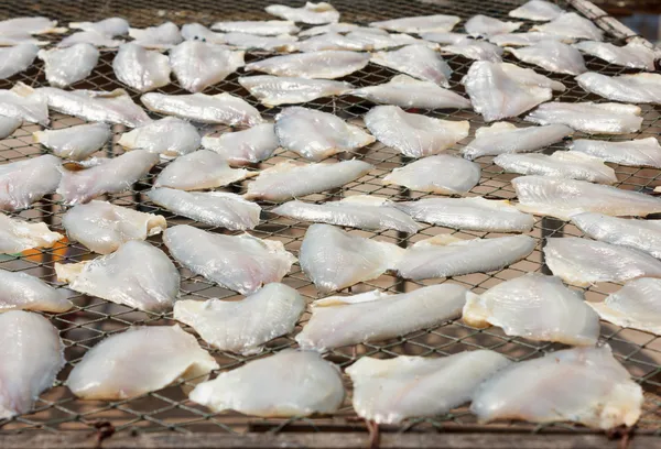 In Scheiben geschnittener getrockneter Barsch — Stockfoto