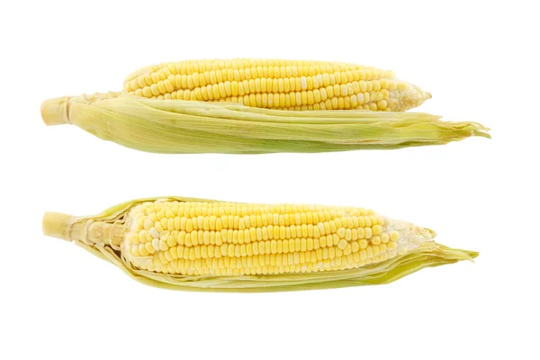 Dos maíz aislado sobre fondo blanco —  Fotos de Stock