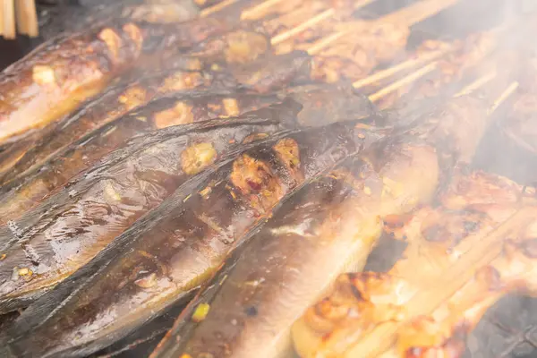 Grilled Catfish Skewers Charcoal Stove Thai Food — Foto de Stock