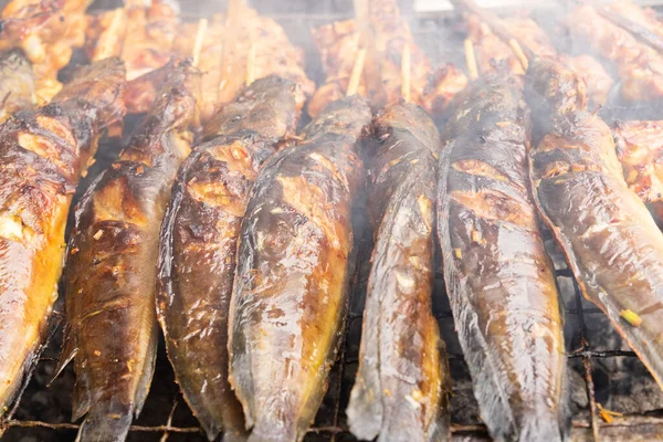 Grilled Catfish Skewers Charcoal Stove Thai Food — Stockfoto