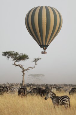 Afrika savana üzerinde uçan balon