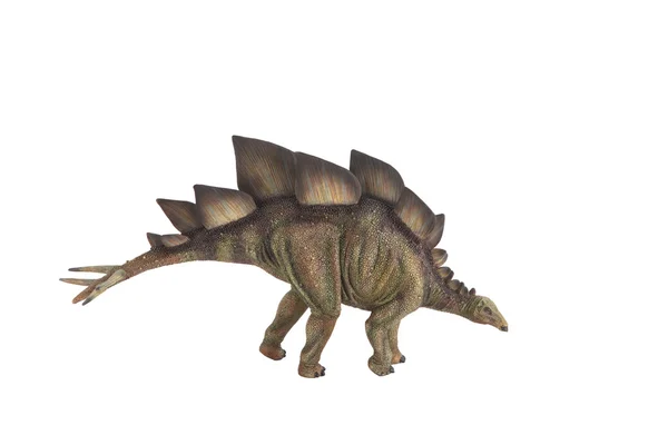 Stegosaurus dinozor beyaz bir arka plana dayanır