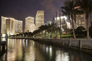 Miami bay at night clipart