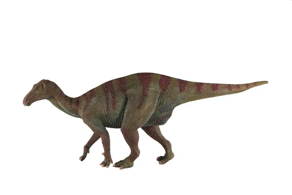Iguanodon dinosaurie mot vit bakgrund — Stockfoto