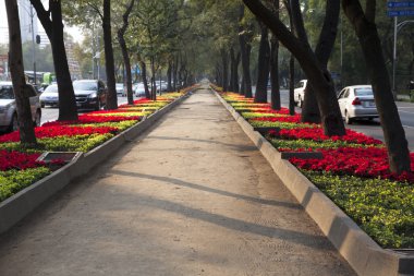 güzel yaz Bahçesi bir geçit ile