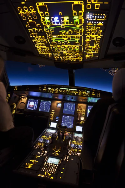 Pilot düzlemdeki