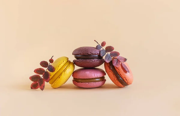 Des Macarons Français Savoureux Sur Fond Jaune Pastel Place Pour — Photo