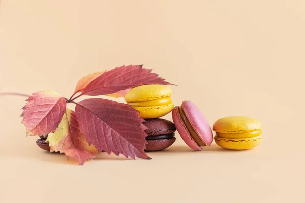 Tasty French Macarons Yellow Pastel Background Place Text — Stock Photo, Image