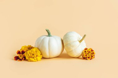 Sarı pastel arka planda sonbahar çiçekleri olan olgun balkabakları. Şükran Günü kartı ya da özgeçmişi için minimalist bir kavram. Metin için yer.