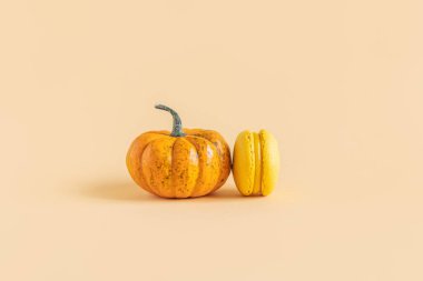 Sarı pastel arka planda pampkin ile lezzetli Fransız badem kurabiyeleri. Metin için yer.