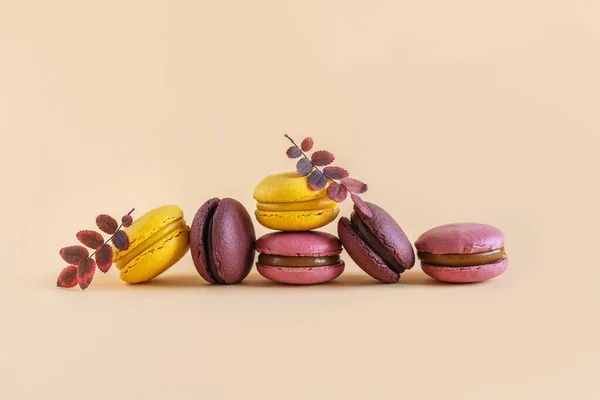 Des Macarons Français Savoureux Sur Fond Jaune Pastel Place Pour — Photo