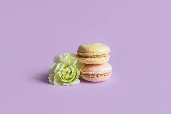 Macarons Français Savoureux Avec Une Fleur Tendre Sur Fond Pastel — Photo