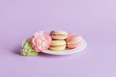 Menekşe rengi pastel arka planda beyaz bir tabakta çiçekli lezzetli Fransız kurabiyeleri. Metin için yer.