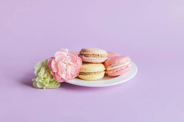 Lekkere Franse Macarons Met Bloemen Een Witte Plaat Een Violette — Stockfoto
