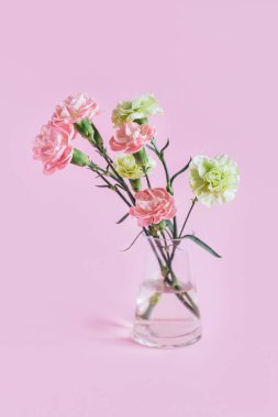 Tender carnation flowers  in a glass vase on pastel pink background.  Place for text. 