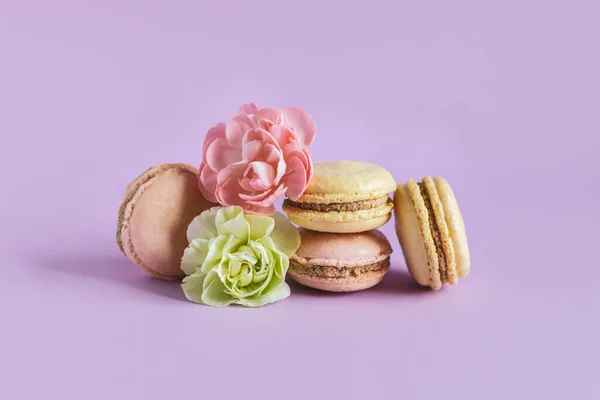 Lekkere Franse Macarons Met Zachte Bloem Een Violette Pastelachtergrond Plaats — Stockfoto