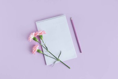 Boş sayfalı defter, menekşe renginde karanfil çiçeği ve kalem. Düz yatıyordu. Metin için yer. 