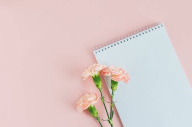 Pembe pastel arka planda boş sayfa ve kalemle yazılmış bir defter. Düz yatıyordu. Metin için yer. 