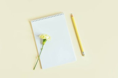 Boş sayfalı defter, sarı pastel arka planda karanfil çiçeği ve kalem. Düz yatıyordu. Metin için yer. 