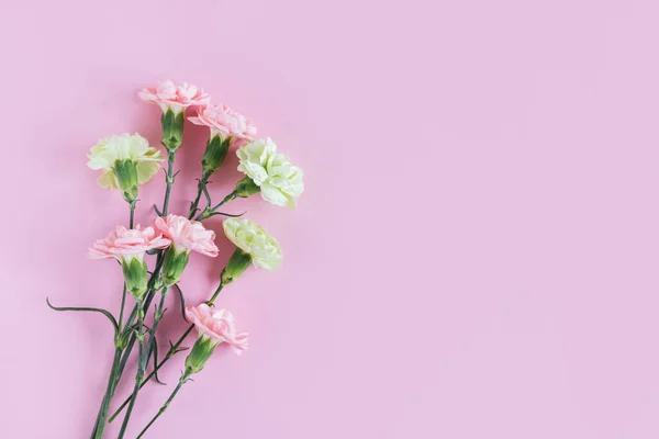 Flores Tiernas Clavel Sobre Fondo Rosa Pastel Lugar Para Texto —  Fotos de Stock