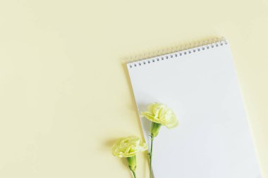 Boş sayfalı defter ve sarı pastel arka planda karanfil çiçeği. Düz yatıyordu. Metin için yer. 