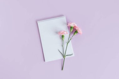 Boş sayfalı bir defter ve menekşe renginde karanfil çiçeği. Düz yatıyordu. Metin için yer. 