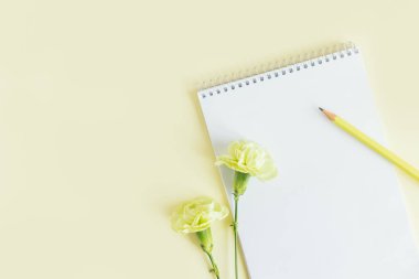 Boş sayfalı defter, sarı pastel arka planda karanfil çiçeği ve kalem. Düz yatıyordu. Metin için yer. 