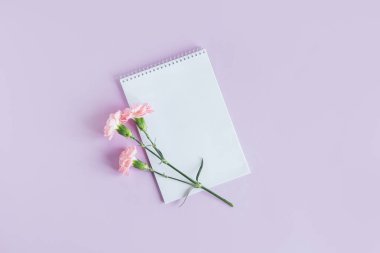 Boş sayfalı bir defter ve menekşe renginde karanfil çiçeği. Düz yatıyordu. Metin için yer. 