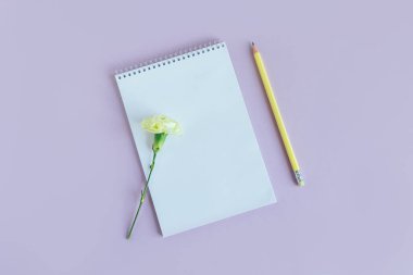 Boş sayfalı bir defter ve menekşe renginde karanfil çiçeği. Düz yatıyordu. Metin için yer. 