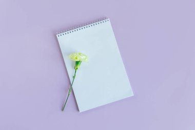 Boş sayfalı bir defter ve menekşe renginde karanfil çiçeği. Düz yatıyordu. Metin için yer. 
