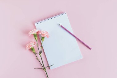 Boş sayfalı defter, pembe pastel arka planda karanfil çiçeği ve kalem. Düz yatıyordu. Metin için yer. 