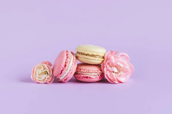 Lekkere Franse Macarons Met Zachte Bloem Een Violette Pastelachtergrond Plaats — Stockfoto