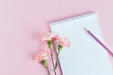 Boş sayfalı defter, pembe pastel arka planda karanfil çiçeği ve kalem. Düz yatıyordu. Metin için yer. 