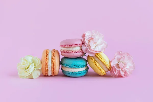 Lekkere Franse Macarons Met Zachte Bloem Een Violette Pastelachtergrond Plaats — Stockfoto