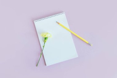 Boş sayfalı bir defter ve menekşe renginde karanfil çiçeği. Düz yatıyordu. Metin için yer. 