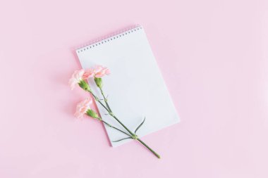Pembe pastel arka planda boş sayfa ve kalemle yazılmış bir defter. Düz yatıyordu. Metin için yer. 