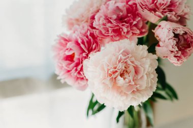 Pencerenin yanında güzel bir buket pembe pastel şakayık çiçeği. Seçici odak.