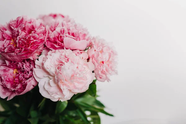 Hermoso Ramo Flores Peonía Pastel Rosa Sobre Fondo Blanco Enfoque — Foto de Stock