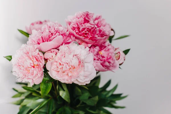 Hermoso Ramo Flores Peonía Pastel Rosa Sobre Fondo Blanco Enfoque — Foto de Stock