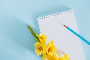 Güzel sarı bir Gladiolus çiçeği ve mavi arkaplanda boş bir sayfa olan bir defter. Metin için yer.