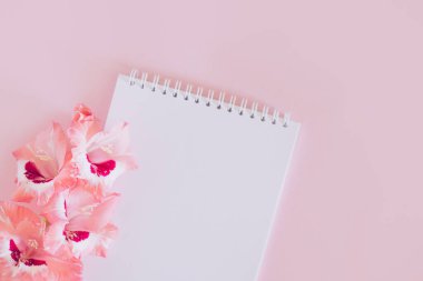 Güzel pembe Gladiolus çiçeği ve pembe arka planda boş sayfası olan bir defter. Metin için yer.