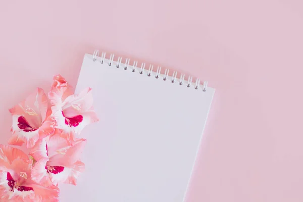 Beautiful Pink Gladiolus Flower Notebook Blank Page Pink Background Place Imagen De Stock