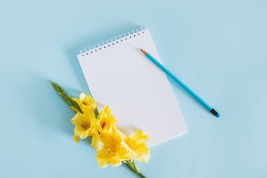 Beautiful yellow Gladiolus flower and a notebook with blank page on a blue background. Place for text.