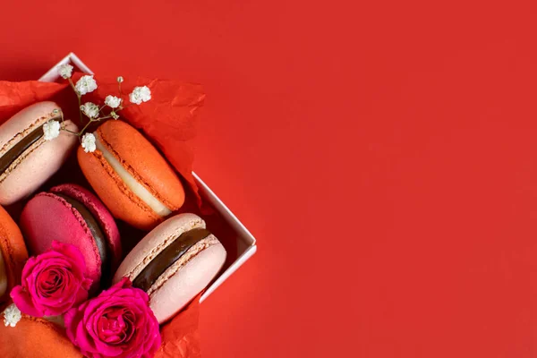 Tasty french macarons with flowers in a box on a red background. Place for text. Flat lay.