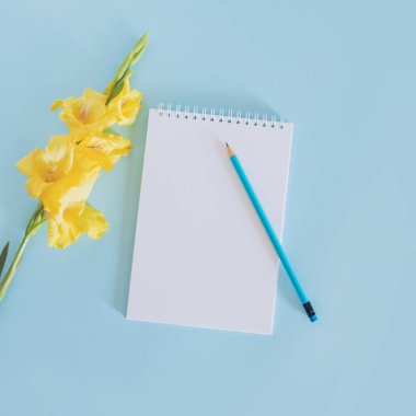 Beautiful yellow Gladiolus flower and a notebook with blank page on a blue background. Place for text.
